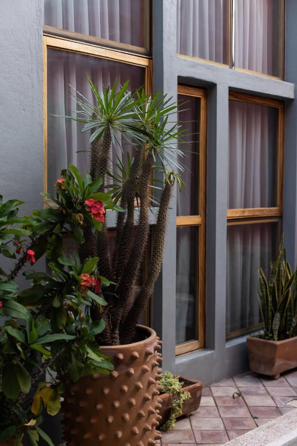 Casa De Arte Hotel Boutique Oaxaca Exterior photo